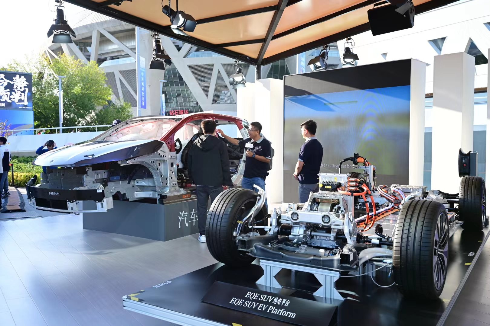 泳运动员迈 泳运动员迈